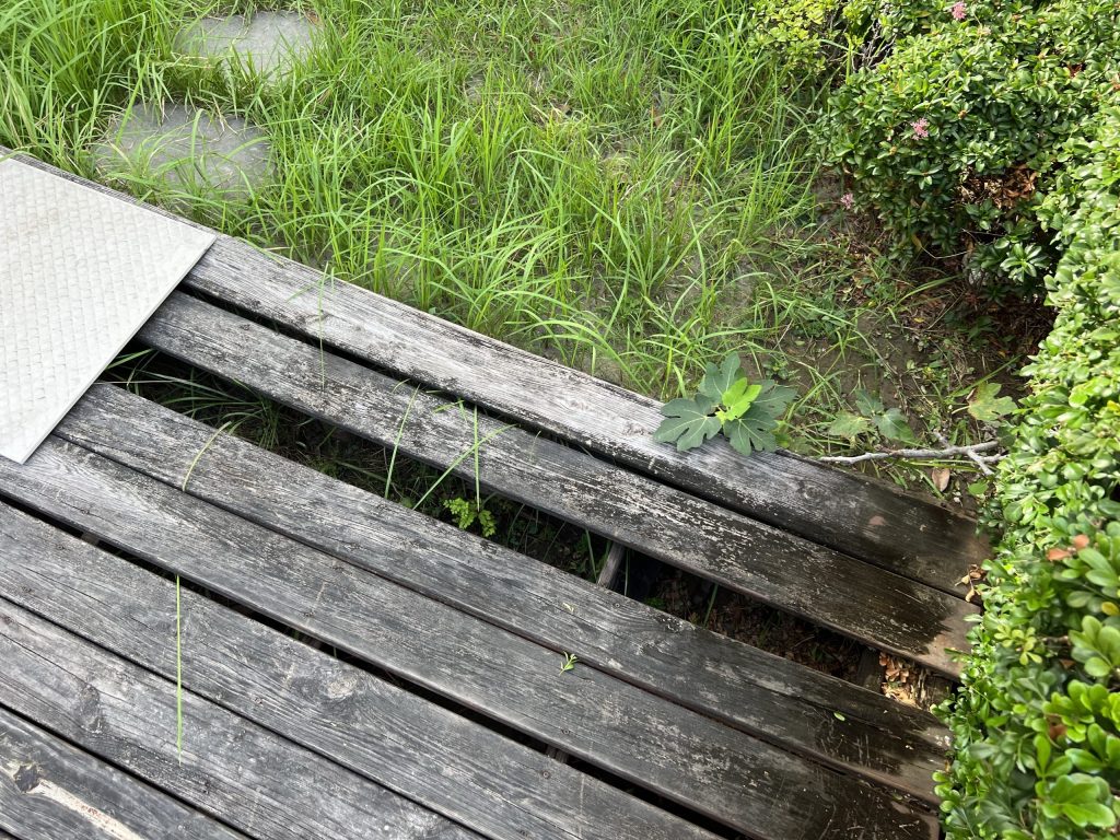 img 0607 [我們的作品]庭園改善案-案1117 客戶案例