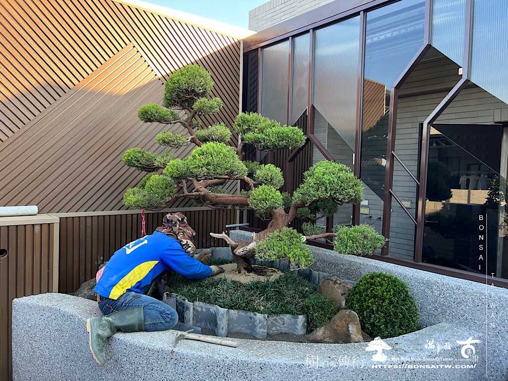 img 6340 [我們的作品]大露台景案-案1227 露台造景