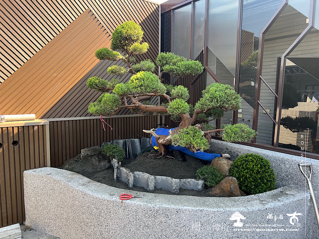 img 6341 [我們的作品]大露台景案-案1227 露台造景