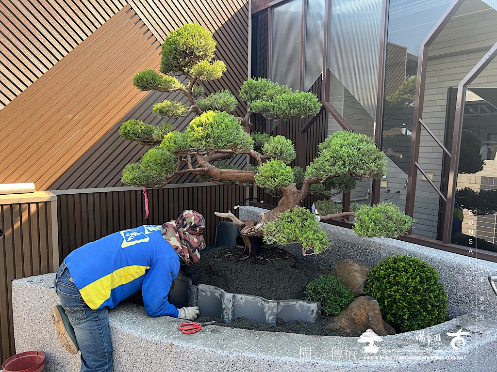 img 6361 [我們的作品]大露台景案-案1227 露台造景