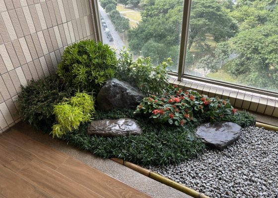 img 7452 [我們的作品]大露台景案-案1024 大露台