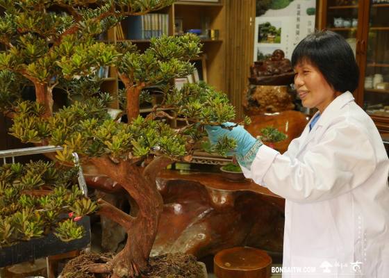 03 2 走過精彩2022，一起加油！ 2022