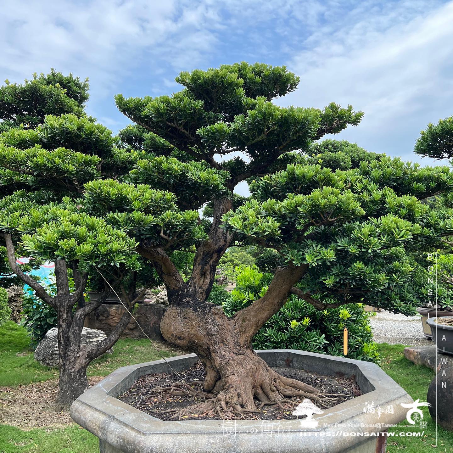 05 2 走過精彩2022，一起加油！ 我們的作品(Our Design)