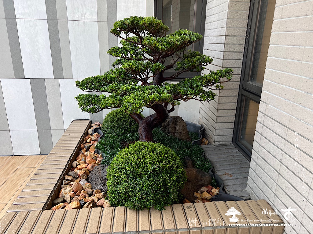 img 7786 [我們的作品]露台景案-案0110 露台造景