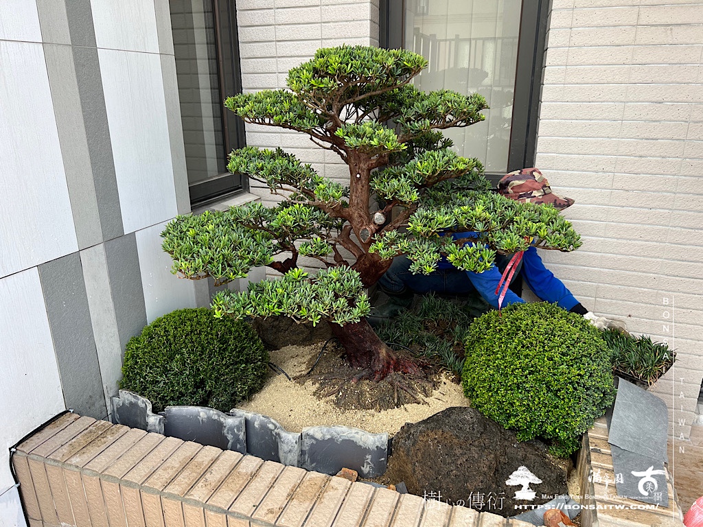 img 7787 [我們的作品]露台景案-案0110 露台造景