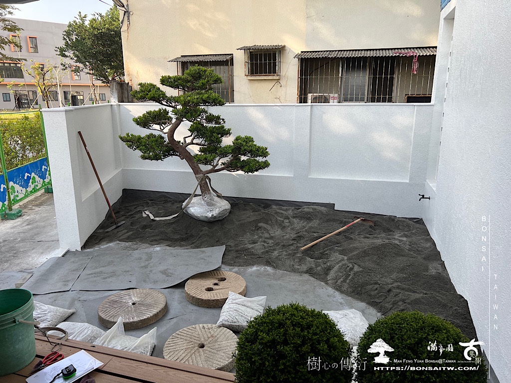 img 1348 [我們的作品]小庭園景案-案0215 客戶案例