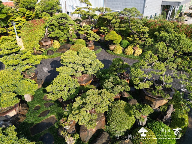 img 3887 滿峯園，日常。 我們的作品(Our Design)