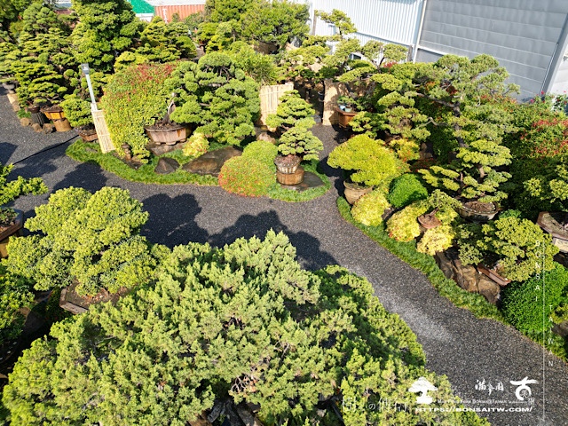 img 3889 滿峯園，日常。 我們的作品(Our Design)