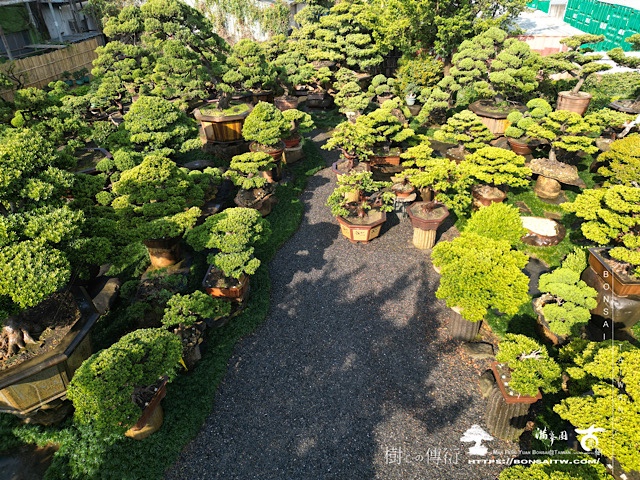 img 3891 滿峯園，日常。 我們的作品(Our Design)