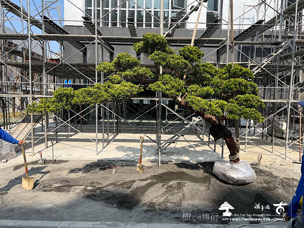 img 5241 [我們的作品]前庭設計-案0324 客戶案例