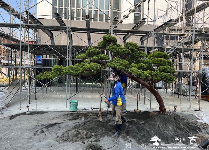 img 5243 [我們的作品]前庭設計-案0324 客戶案例