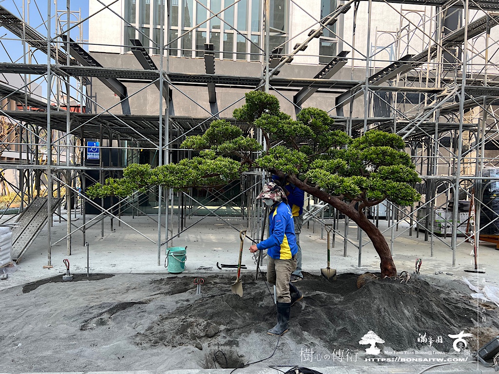 img 5243 [我們的作品]前庭設計-案0324 客戶案例