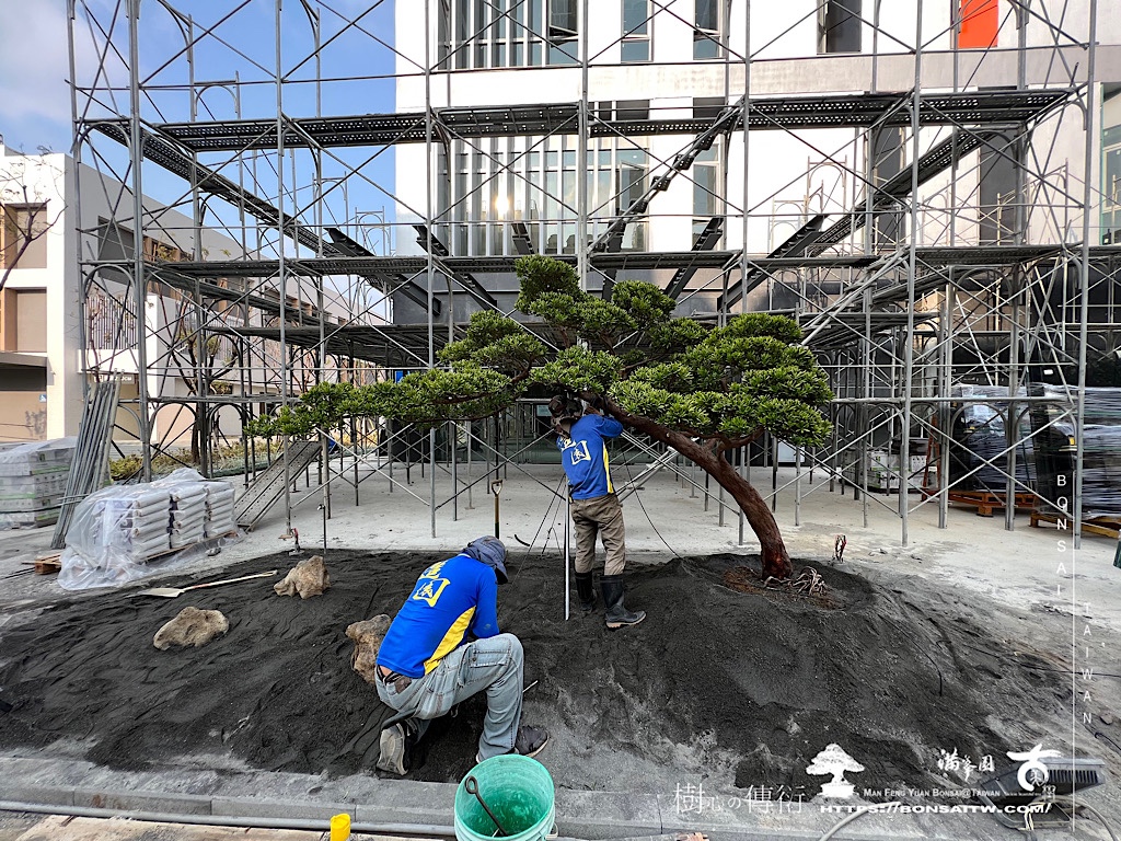 img 5244 [我們的作品]前庭設計-案0324 客戶案例