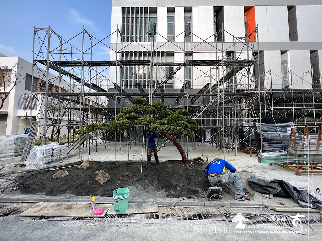 img 5245 [我們的作品]前庭設計-案0324 客戶案例