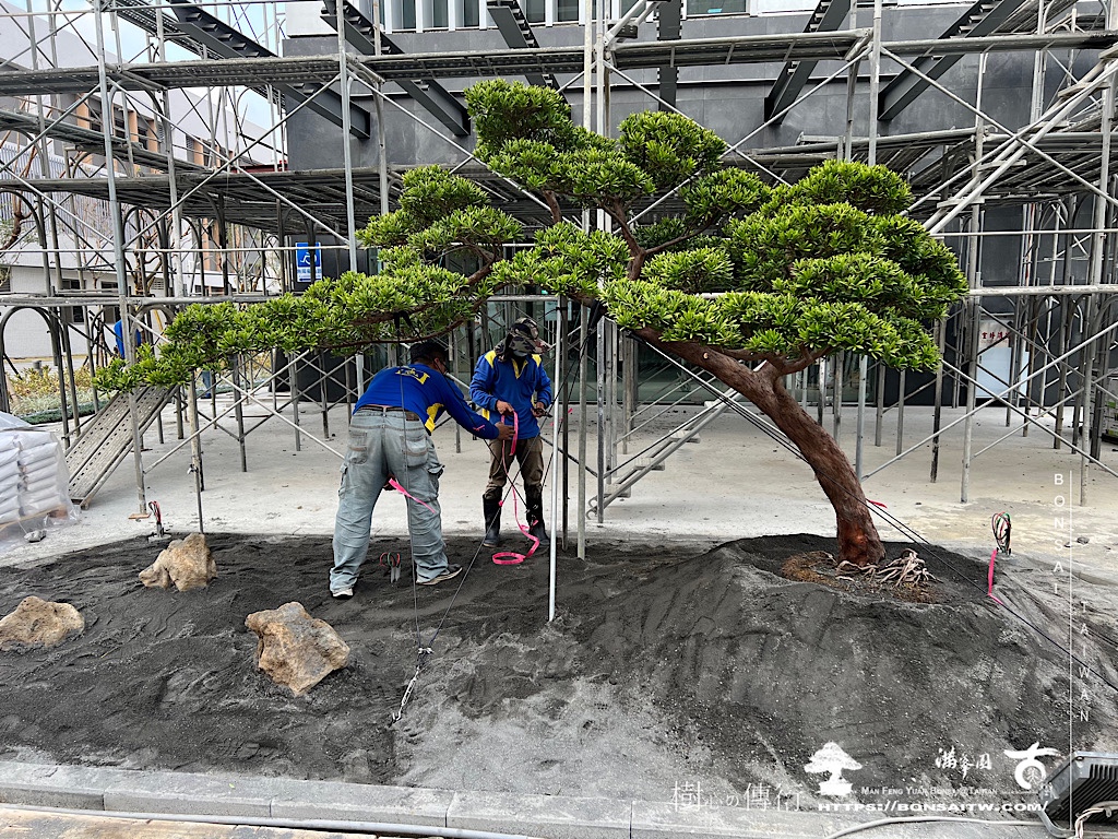 img 5246 [我們的作品]前庭設計-案0324 客戶案例