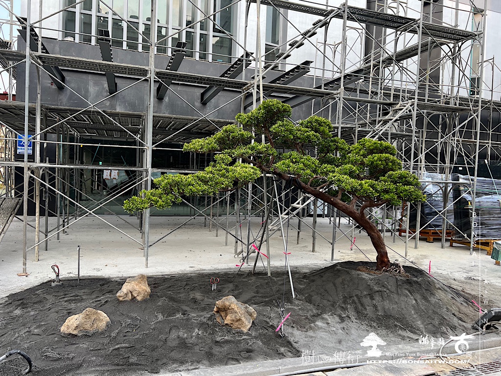 img 5248 [我們的作品]前庭設計-案0324 客戶案例