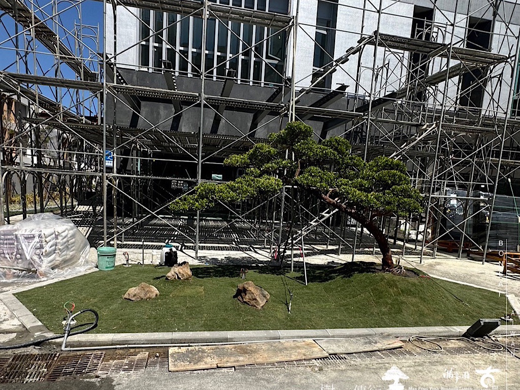 img 5250 [我們的作品]前庭設計-案0324 客戶案例