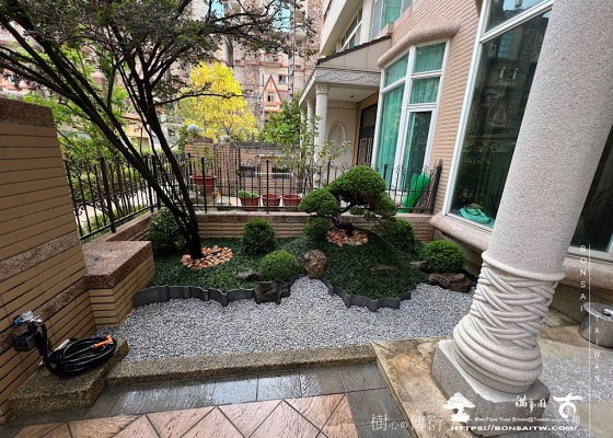 img 7210 [我們的作品]前庭設計-案0408 真柏(Juniperus chinensis)