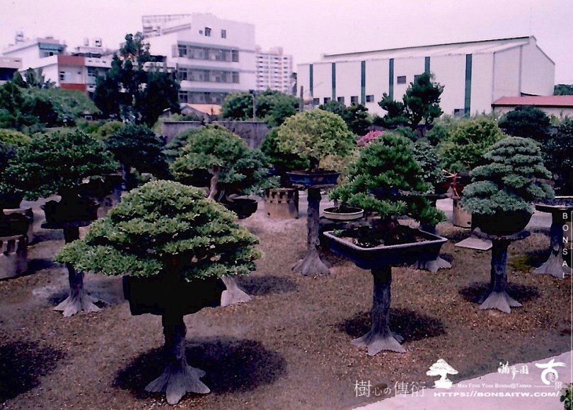 img 8249 [滿峯園]用同一個視角，觀照自我。1998-2023。 我們的作品(Our Design)