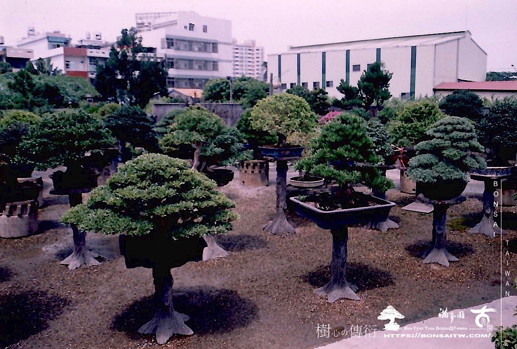 img 8249 [滿峯園]用同一個視角，觀照自我。1998-2023。 我們的作品(Our Design)