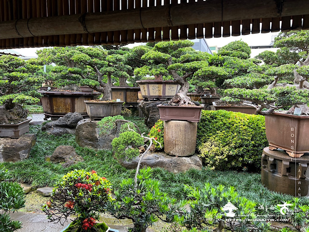 img 8250 [滿峯園]用同一個視角，觀照自我。1998-2023。 我們的作品(Our Design)