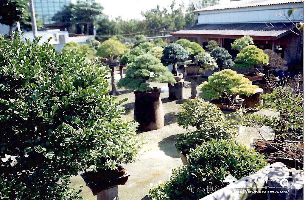 img 8252 [滿峯園]用同一個視角，觀照自我。1998-2023。 我們的作品(Our Design)