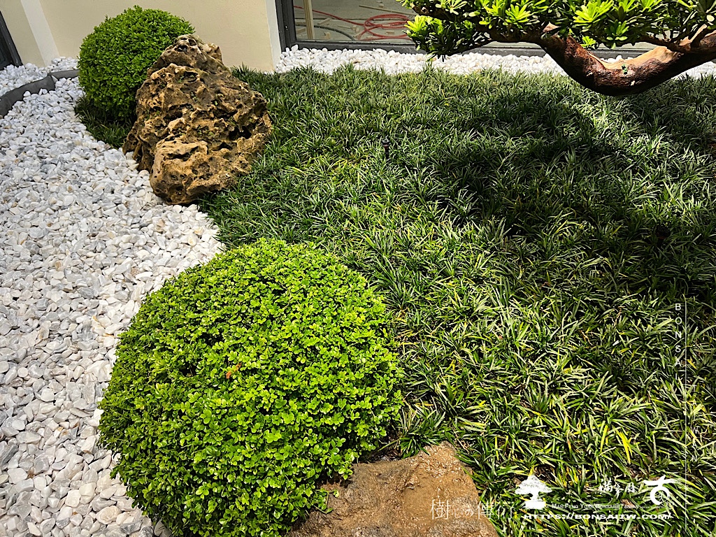 img 0281 [我們的作品]庭園設計-案0507 客戶案例