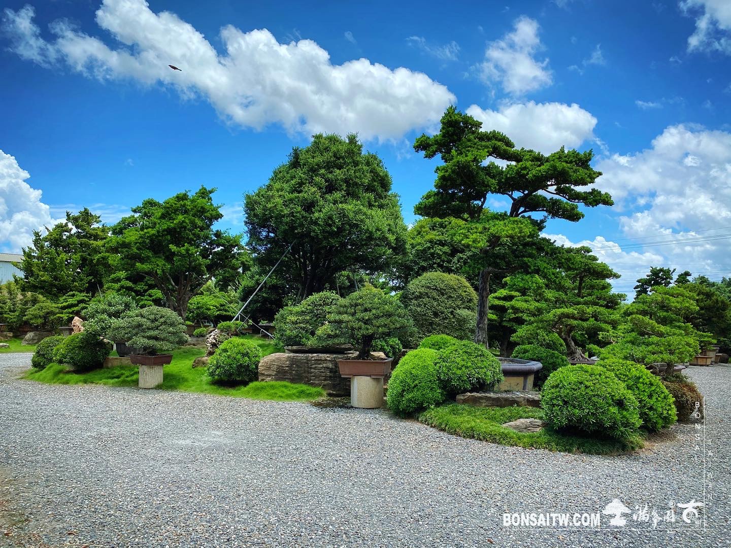 747b1903 e91d 475f 900e 7a2dd0cbfe62 History(品牌歷史)