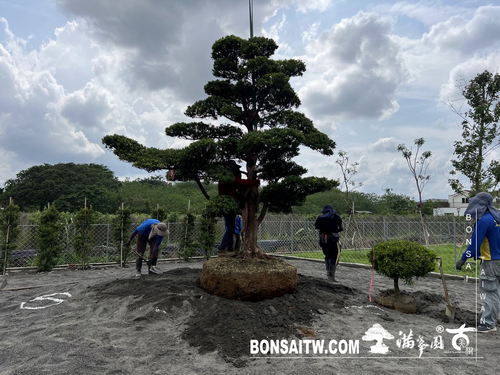 IMG 1817 [我們的作品]大庭園設計-案0515 客戶案例