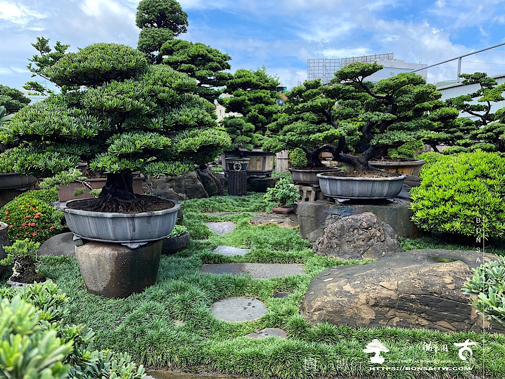 img 5502 History(品牌歷史)