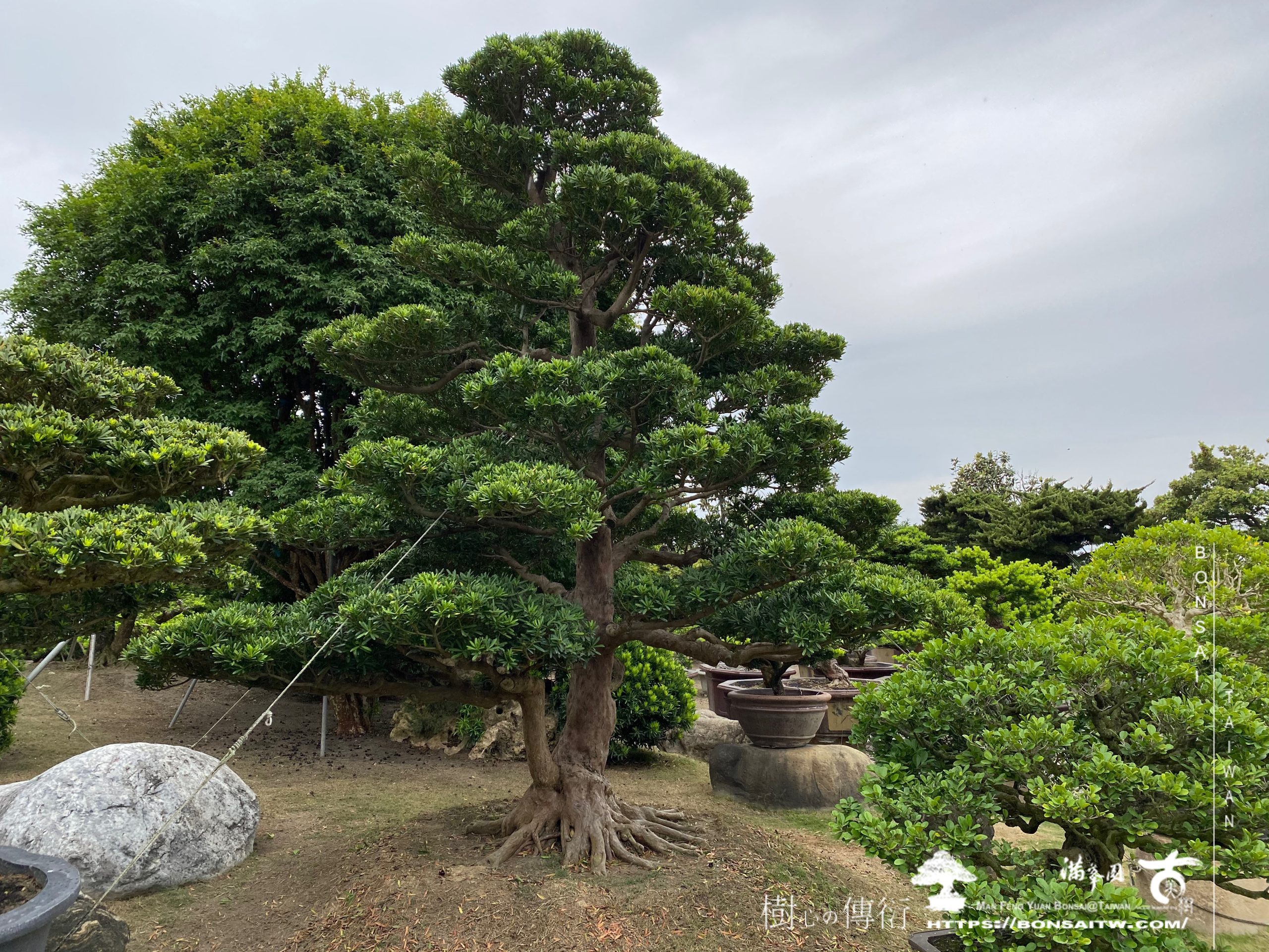 img 5507 History(品牌歷史)