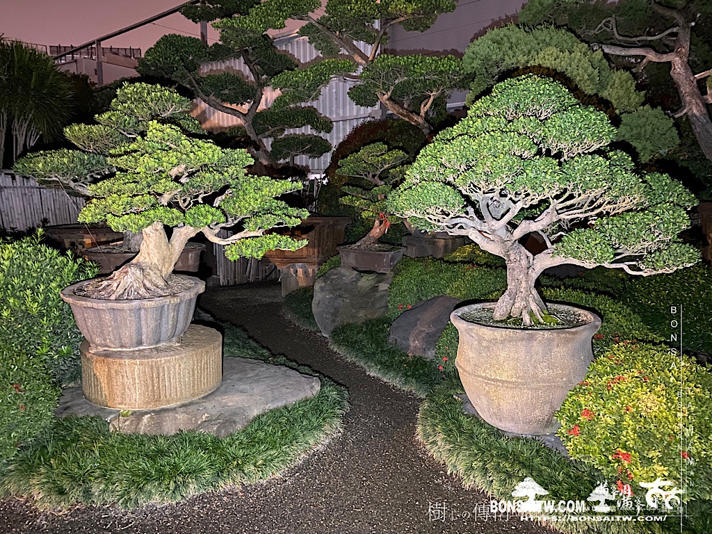 img 5512 History(品牌歷史)