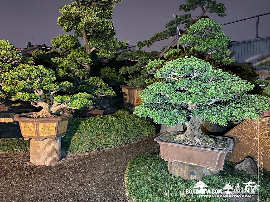 img 5514 History(品牌歷史)