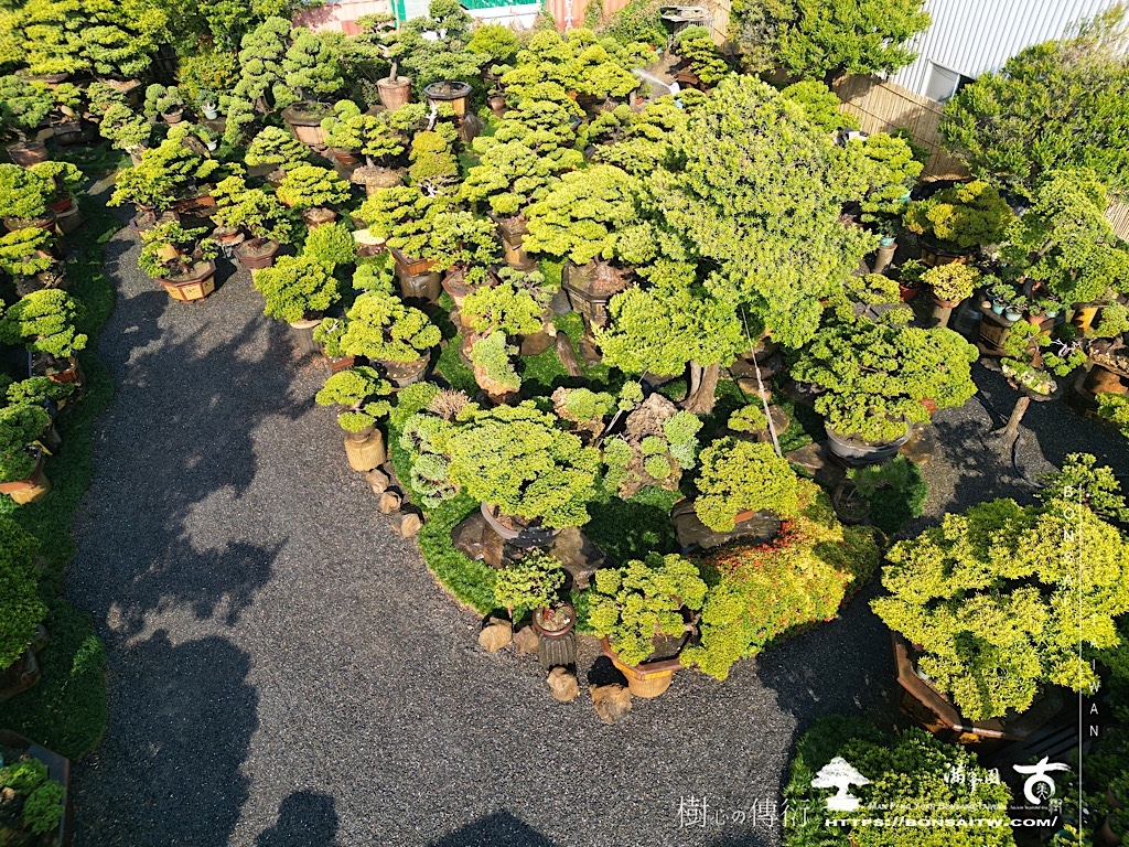 img 5523 History(品牌歷史)