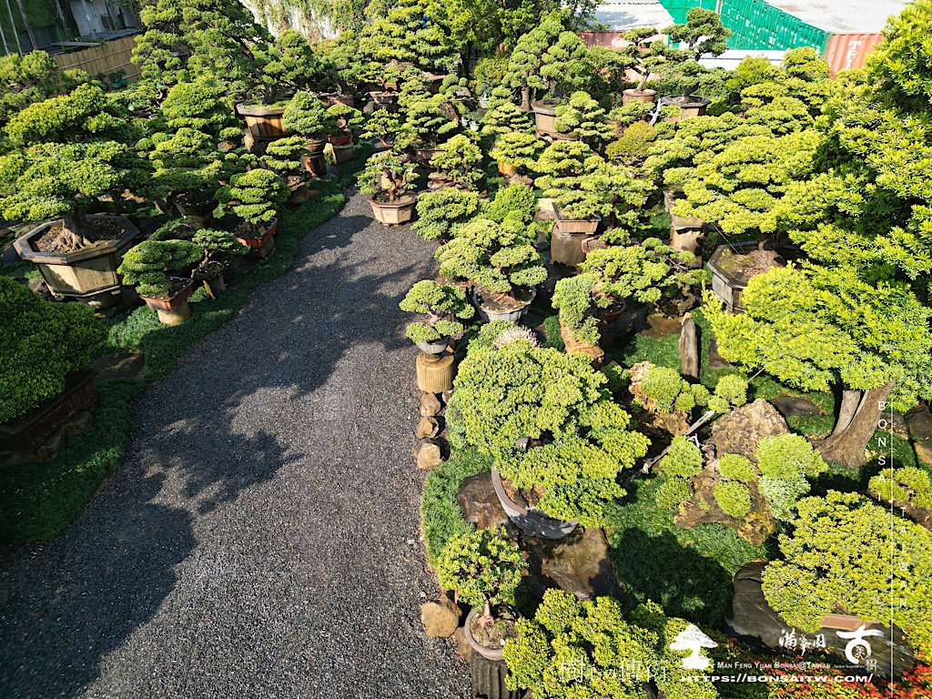 img 5524 History(品牌歷史)