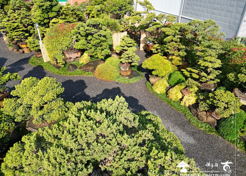 img 5525 History(品牌歷史)