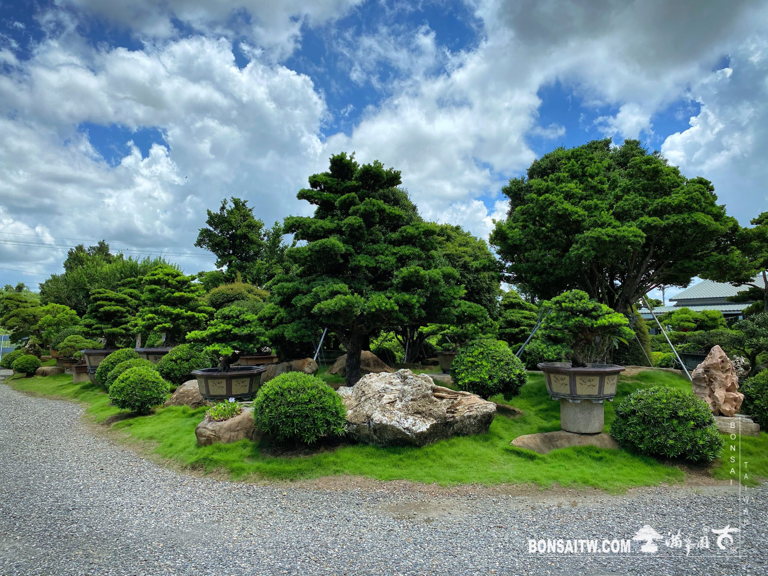 img 5578 History(品牌歷史)