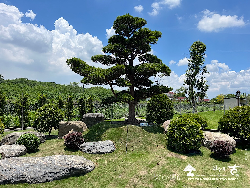 img 6548 [我們的作品]大庭園設計-案0515 客戶案例