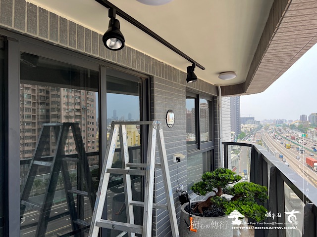 img 2663 1 [我們的作品]盆栽式乾景，露台設計-案0510 露台造景