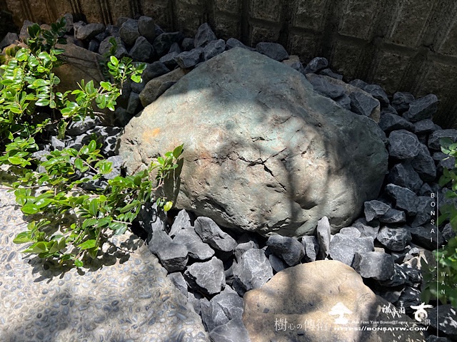 img 2707 1 [我們的作品]別墅露台設計改造-案0515 客戶案例