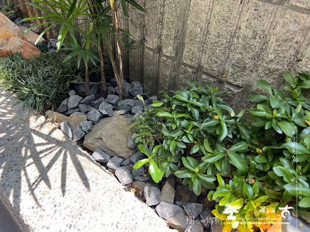 img 2711 1 [我們的作品]別墅露台設計改造-案0515 客戶案例