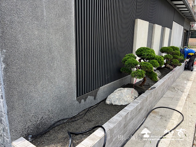 img 2756 1 [我們的作品]別墅側庭設計-案0517 客戶案例