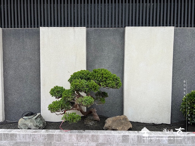 img 2757 1 [我們的作品]別墅側庭設計-案0517 客戶案例