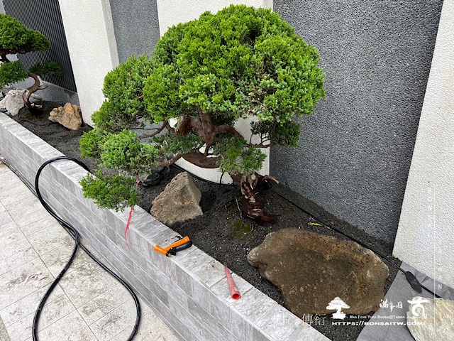 img 2760 1 [我們的作品]別墅側庭設計-案0517 客戶案例