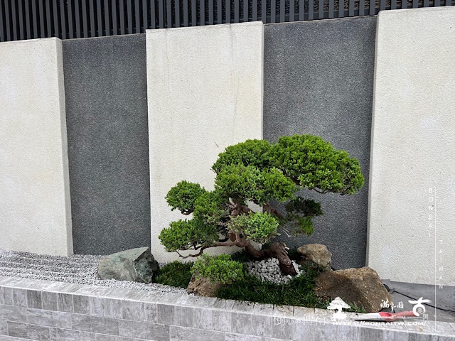 img 2764 1 [我們的作品]別墅側庭設計-案0517 客戶案例