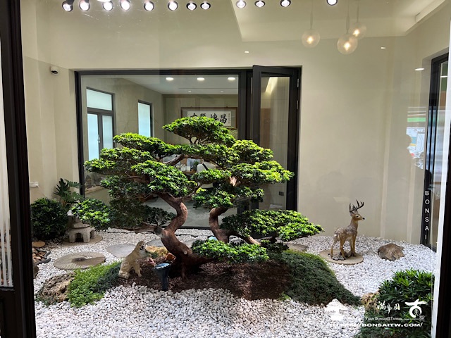 img 4362 1 [我們的作品]庭園設計-案0507 客戶案例