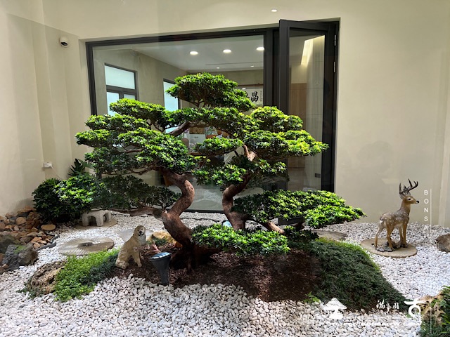 img 4363 1 [我們的作品]庭園設計-案0507 客戶案例