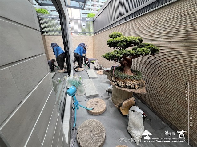 img 3550 1 [我們的作品]茶室景觀設計施工-案0719 客戶案例