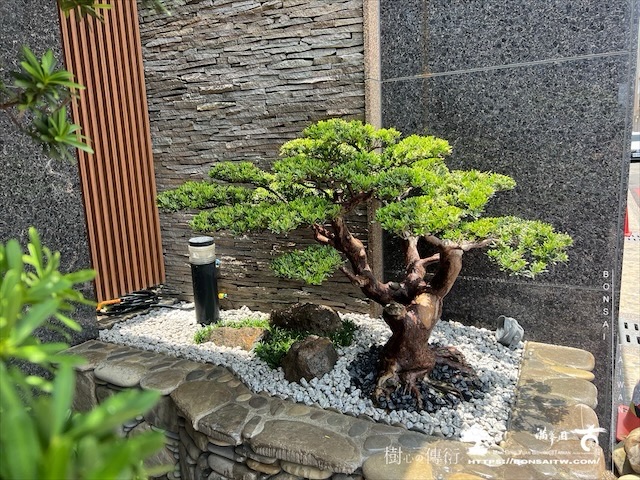 img 3586 1 [我們的作品]大門景觀設計施工-案0720 客戶案例