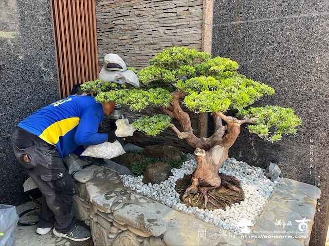 img 3589 1 [我們的作品]大門景觀設計施工-案0720 客戶案例